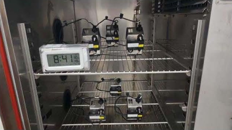凝露试验箱内已连接的样品