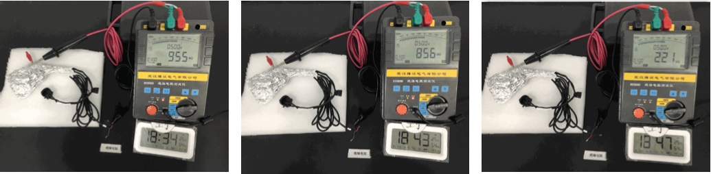 正极、负极和 LIN 端子与覆箔模组外壳之间的 500 V DC 绝缘电阻实测