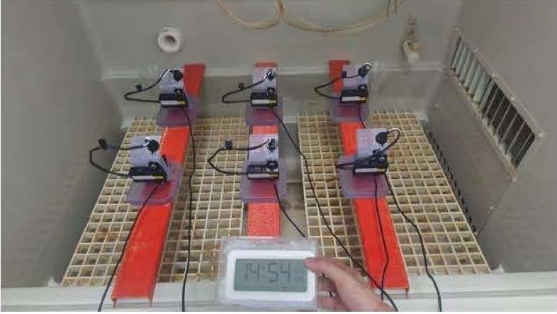 按车辆参考安装角度固定的样品