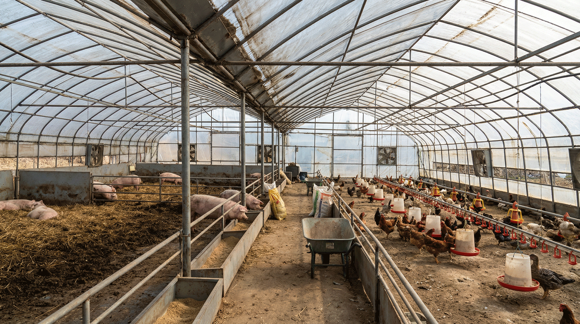 畜禽养殖环境监测