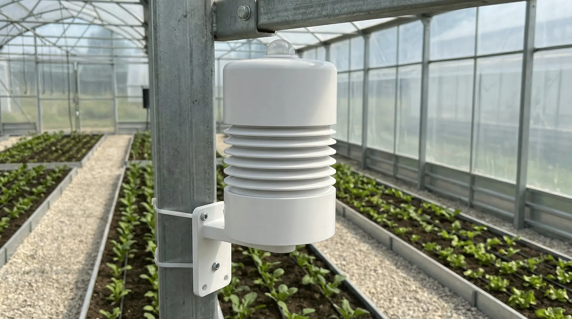 Agricultural Sensor Application Illustration